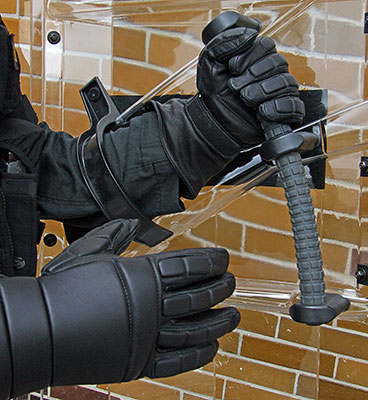 esp-police-shield-as-60-holding
